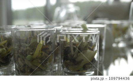 Close-up of green salad made of tomatoes, lettuce and crackers seasoned with mayonnaise in glasses. Verrines appetizer, cucumber, cream cheese, herbs, capers in glasses. Catering for party close up. 109794436