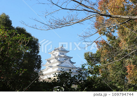 姫路城 東側 姫山駐車場付近から見る天守(兵庫県 姫路市) 姫路城 東側 姫山駐車場付近から見る天守(兵庫県 姫路市) 109794744