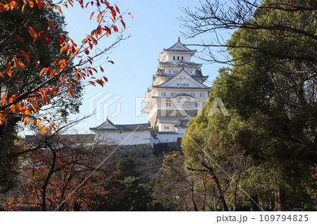 姫路城 東側 喜斎門跡付近から見る天守（兵庫県 姫路市） 109794825