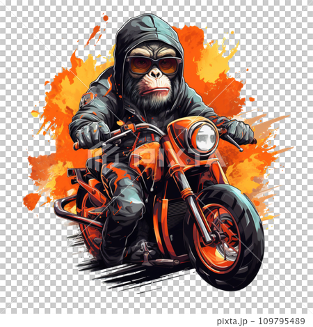 Image of monkey is riding a motorcycle on transparent background, Living life, Wildlife Animals. Illustration, Generative AI. 109795489