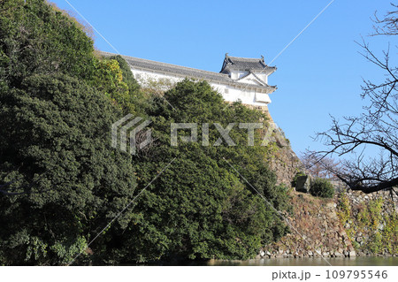姫路城 ワの櫓、レの渡櫓風景（兵庫県 姫路市） 109795546