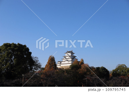 姫路城 城見台公園からの風景(兵庫県 姫路市) 姫路城 城見台公園からの風景(兵庫県 姫路市) 109795745