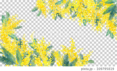 兩個角裝飾框架與含羞草水彩插圖。春天圖像背景。 109795819