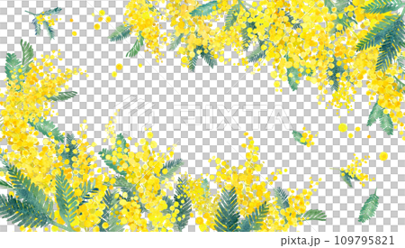 ミモザ水彩イラストの2隅装飾フレーム。春のイメージ背景。のイラスト