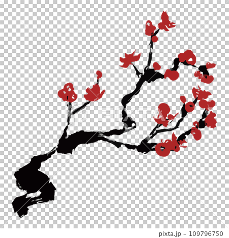梅　梅の木　紅梅のイラスト素材　ベクター 109796750