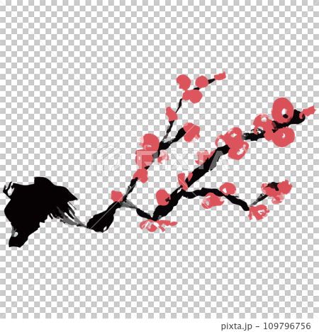 梅　梅の木　紅梅のイラスト素材　ベクター 109796756