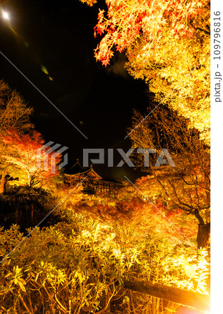 ライトアップされた紅葉 109796816