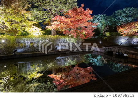 ライトアップされた紅葉 109796818