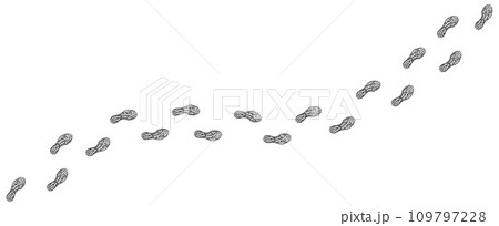 Human footprint. Trail of footprints from boots or sneakers. Imprints of shoe soles. Walking person. Path of human feet. Footsteps trekking. Step by step. Silhouette. Vector isolated on white. Human footprint. Trail of footprints from boots or sneakers. Imprints of shoe soles. Walking person. Path of human feet. Footsteps trekking. Step by step. Silhouette. Vector isolated on white. 109797228