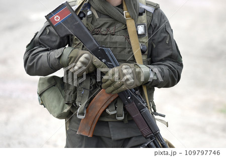Flag of North Korea on assault rifle butt. Collage. 109797746