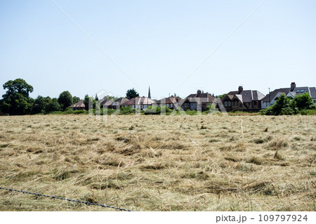 芝生を刈り取って茶色くなったフィールド遠くに見えるレンガ造りの家並み　ロンドン郊外の街並み 109797924