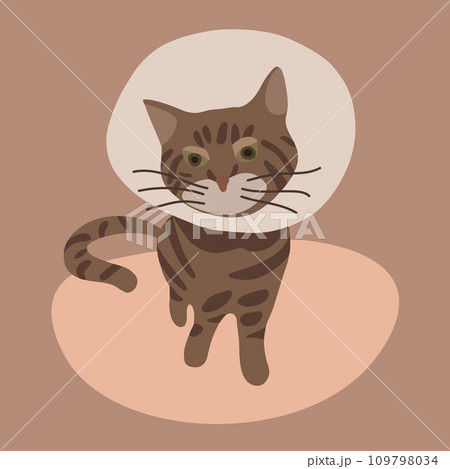 Vector isolated illustration of a sick cat. Vector isolated illustration of a sick cat. 109798034