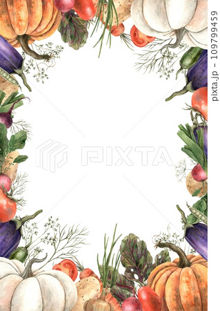 Frame, board, poster of different vegetables: pumpkin, radishes, beets, onions. Hand drawn in watercolors. Use in the design of cookbooks, menus, posters, postcards, advertising, fabric. 109799459