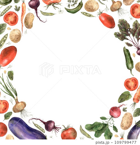Watercolor frame of vegetables: radish, tomato, eggplant, tomato, peas, dill, carrot, onion, potato. Hand drawn composition on white background, suitable for design, menus, cookbooks, cards, posters. Watercolor frame of vegetables: radish, tomato, eggplant, tomato, peas, dill, carrot, onion, potato. Hand drawn composition on white background, suitable for design, menus, cookbooks, cards, posters. 109799477