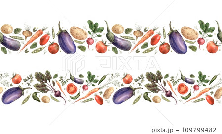 Hand drawn watercolor vegetables. Seamless border on a white background. Use in design, cards, brochures, packaging, fabric, menus, cookbooks. 109799482