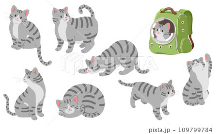 シンプルで可愛いサバトラ猫のイラストセット 主線なし シンプルで可愛いサバトラ猫のイラストセット 主線なし 109799784