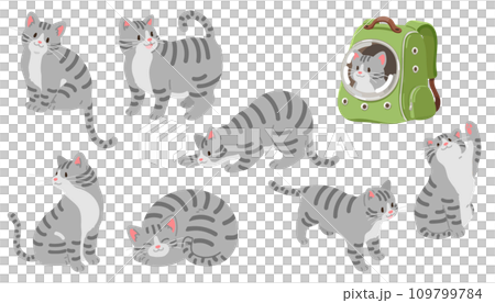 シンプルで可愛いサバトラ猫のイラストセット 主線なし シンプルで可愛いサバトラ猫のイラストセット 主線なし 109799784