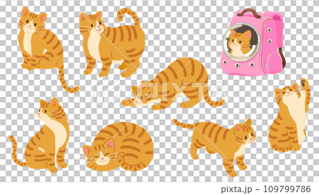 シンプルで可愛い茶トラ猫のイラストセット 主線なし シンプルで可愛い茶トラ猫のイラストセット 主線なし 109799786