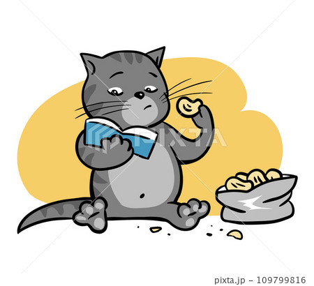 Tabby cat reads a book and eats chips 109799816