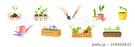 Garden and Horticulture with Hand and Pot with Plant Vector Set Garden and Horticulture with Hand and Pot with Plant Vector Set 109800632