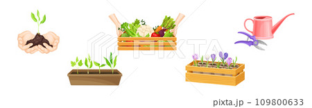 Garden and Horticulture with Hand and Pot with Plant Vector Set 109800633
