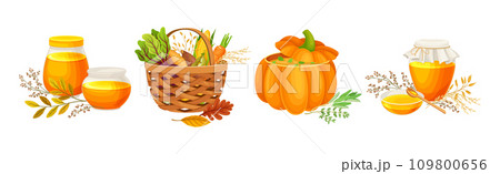 Thanksgiving Day Symbol and Festive Food Vector Set 109800656