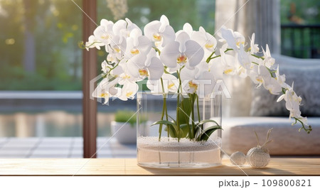 clear clear vase filled with white orchids and water on wooden table clear clear vase filled with white orchids and water on wooden table 109800821