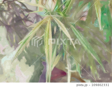 やさしい光に包まれた淡い雰囲気の大麻草のイラスト やさしい光に包まれた淡い雰囲気の大麻草のイラスト 109802331