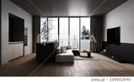 Front view of modern kitchen and dining room interior with furniture and kitchenware, grey and black kitchen interior background, luxury kitchen, 3d rendering 109802640
