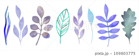 Set of watercolor drawings of blue foliage. Botanical clipart in winter colors. Simple minimalistic varied shapes for design of cards, invitations, fabrics. Hand drawn isolated art. Vector. 109803775