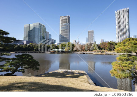 冬の浜離宮恩賜庭園 冬の浜離宮恩賜庭園 109803866