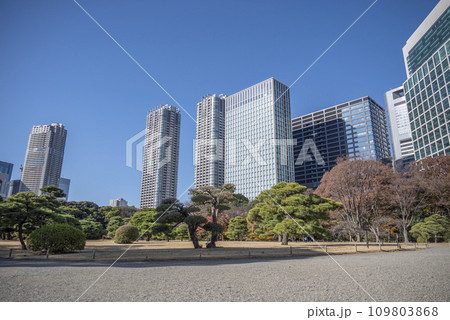 冬の浜離宮恩賜庭園 冬の浜離宮恩賜庭園 109803868