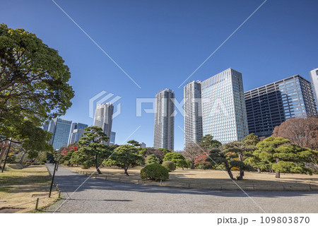 冬の浜離宮恩賜庭園 109803870