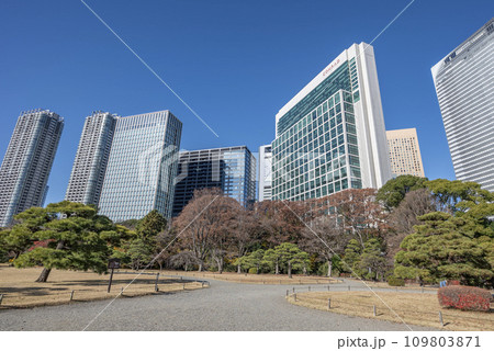 冬の浜離宮恩賜庭園 109803871