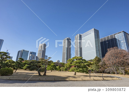 冬の浜離宮恩賜庭園 109803872