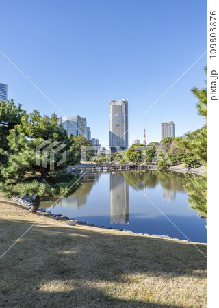 冬の浜離宮恩賜庭園 冬の浜離宮恩賜庭園 109803876