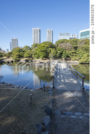冬の浜離宮恩賜庭園 冬の浜離宮恩賜庭園 109803878