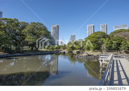冬の浜離宮恩賜庭園 冬の浜離宮恩賜庭園 109803879