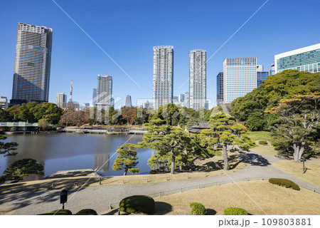冬の浜離宮恩賜庭園 冬の浜離宮恩賜庭園 109803881