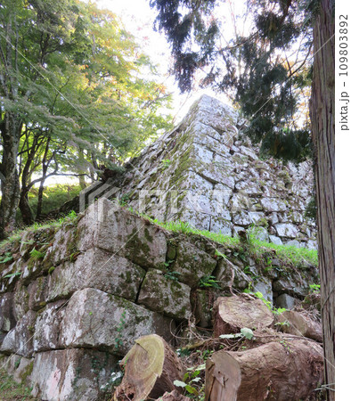石垣　津和野城跡　 109803892