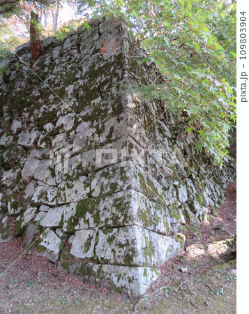 石垣　津和野城跡　 109803904