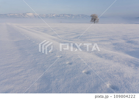 雪原の風景 雪原の風景 109804222