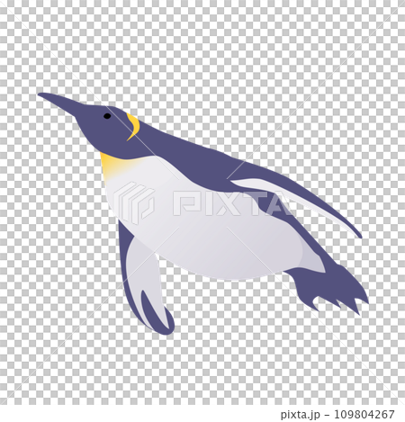 泳ぐペンギンのイラスト 泳ぐペンギンのイラスト 109804267