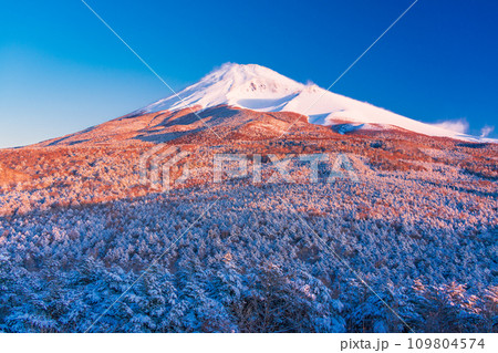 （静岡県）新雪に覆われて雪煙舞う富士山　夜明け 109804574