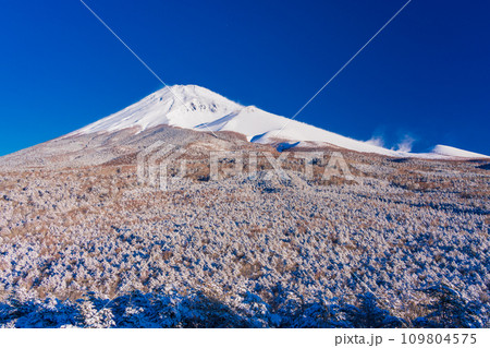 （静岡県）新雪に覆われて雪煙舞う富士山　夜明け 109804575