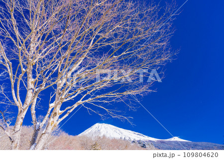 （静岡県）新雪に覆われて雪煙舞う富士山 109804620