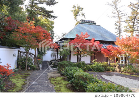 紅葉の八事興正寺の庭 紅葉の八事興正寺の庭 109804770