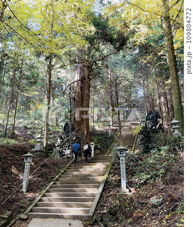 大雄山最乗寺　神奈川県南足柄市 109804772