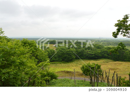 原生林（北斗遺跡／北海道釧路市北斗） 109804910
