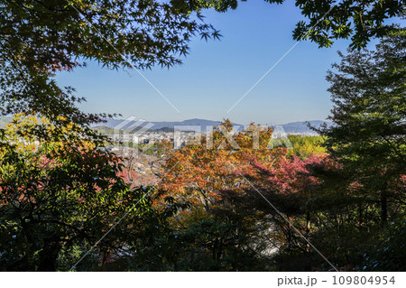 京都　秋の常寂光寺境内から望む京都市街 109804954